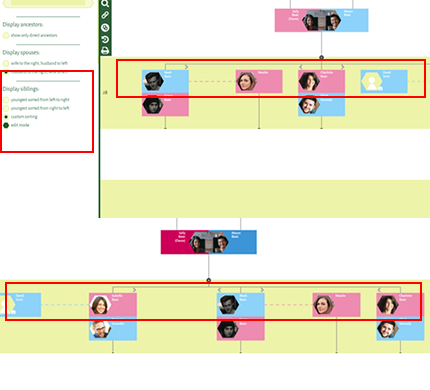 Sibling Order Sibling Order