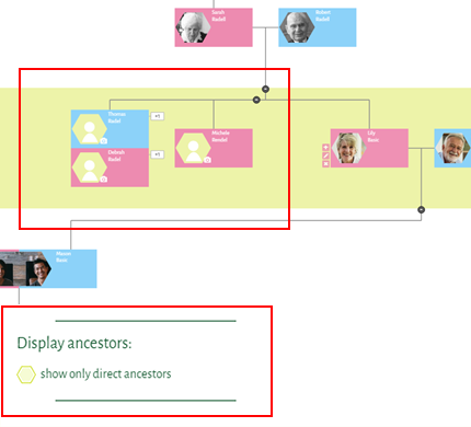 Only Direct Ancestor Display Only Direct Ancestor Display