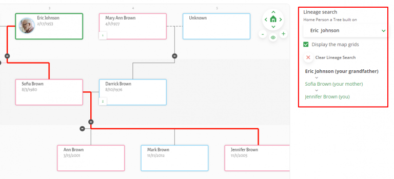 Treemily Family Tree Builder Update: Best Features You | Treemily