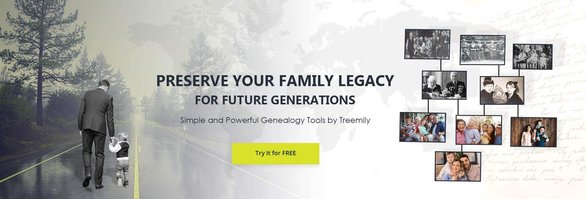 Family Tree Maker Online Tree Builder For You Treemily