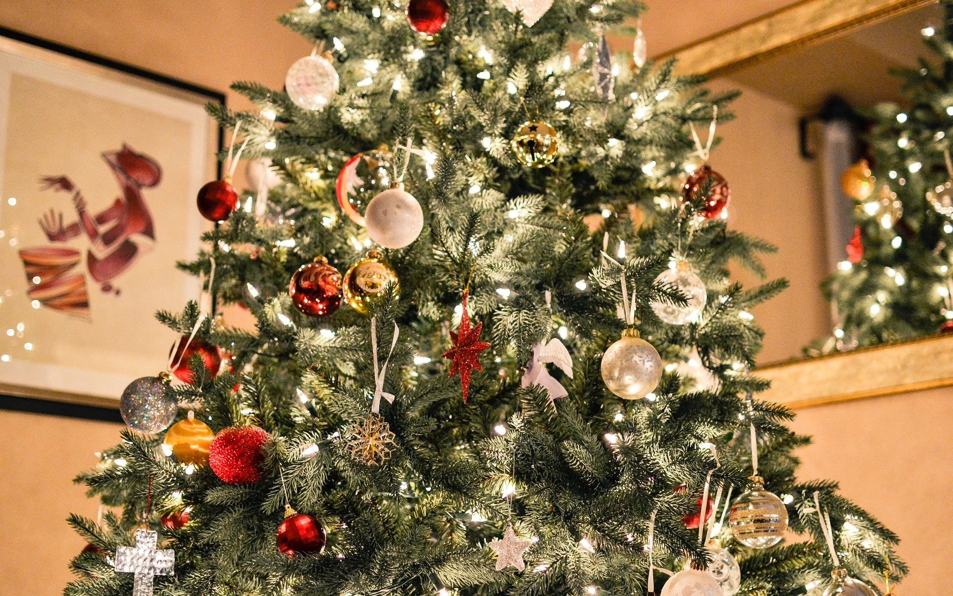 Christmas- tree