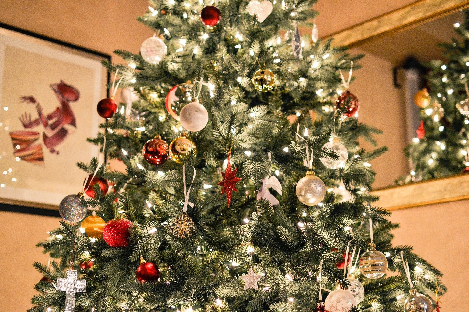 Christmas- tree