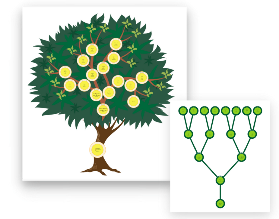 Treemily ancestor Tree