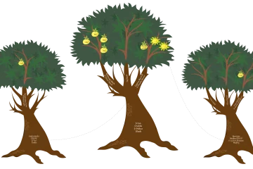 Treemily Family Tree Builder