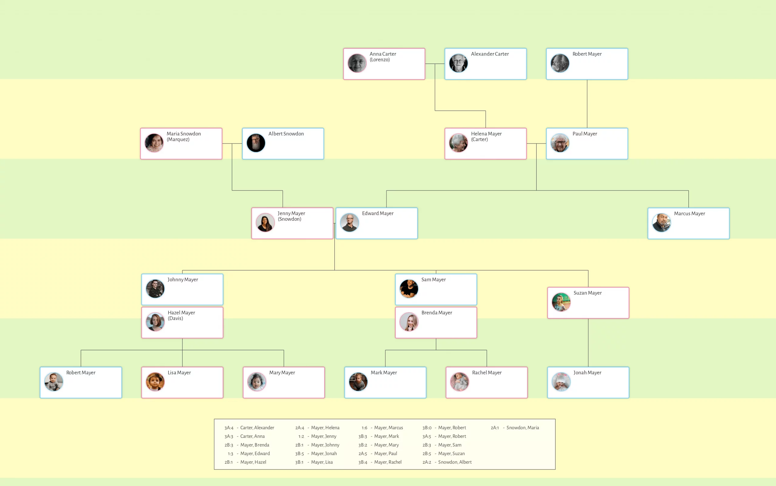 Family Chart Treemily