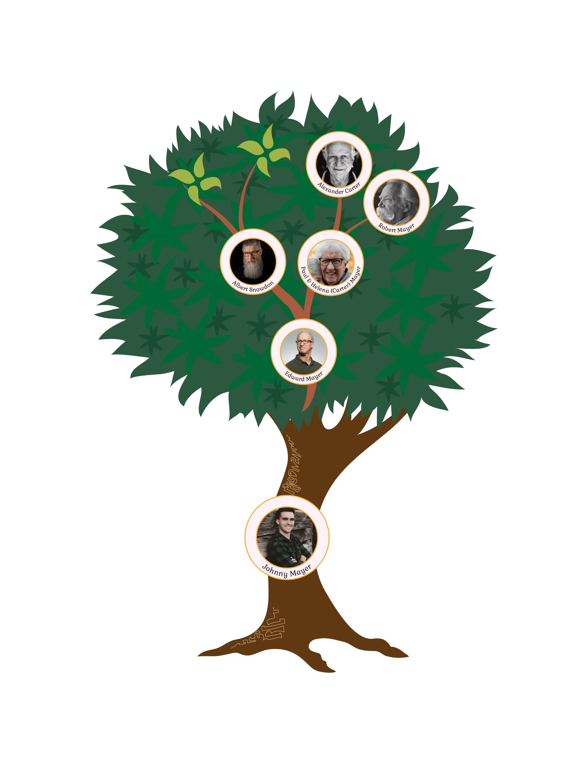 Treemily Ancestor Family Tree