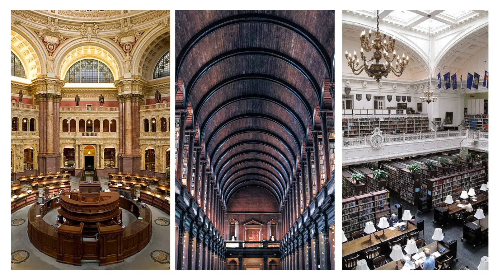 The Best Genealogy Libraries