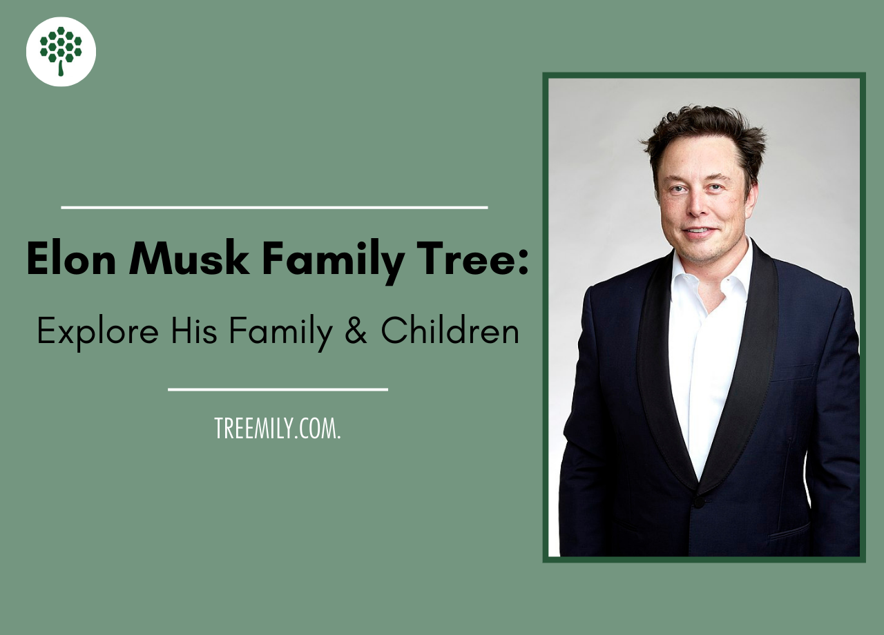 Elon Musk Family Tree Explore His Family and Children